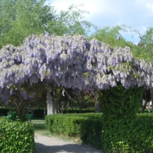 Los Jardines