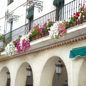 plaza nueva
