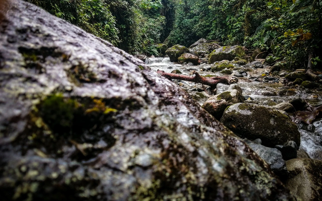 Calendario medioambiental