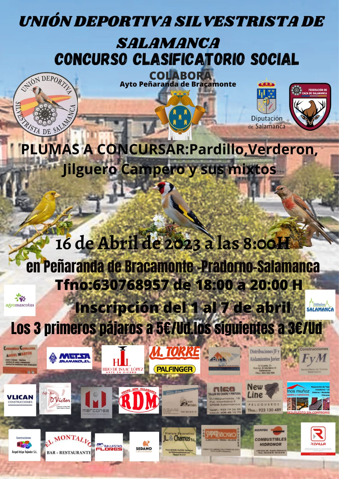 Cartel concurso clasificatorio social de canto de pájaros